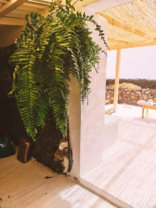 Estudio Con Bano Privado Órzola Esterno foto